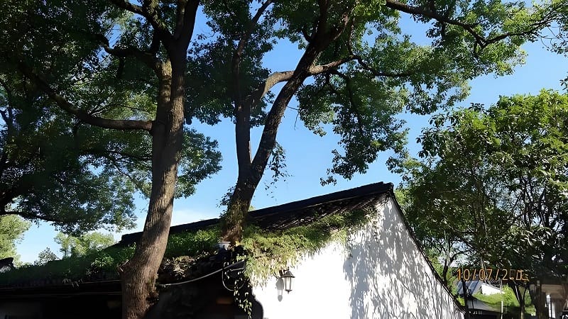 ����v�B�~�١B�����B���������Y