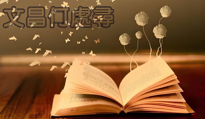 �����B��X�����